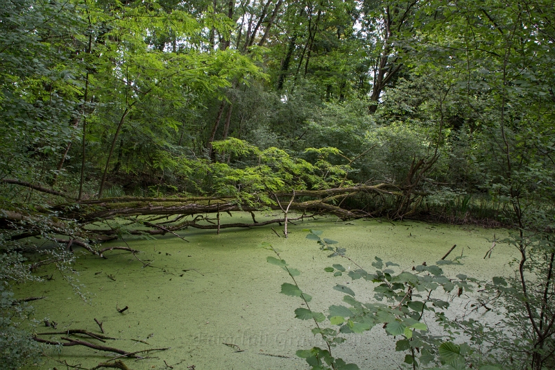 Ausflug 2015 (15).JPG
